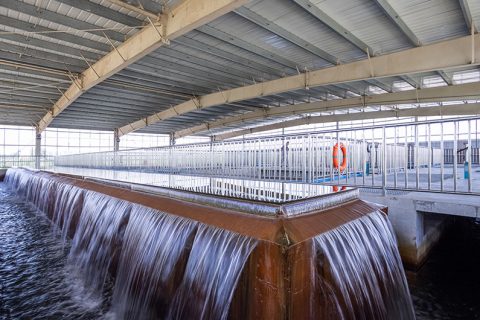 怎么保养多职能微型过滤机？